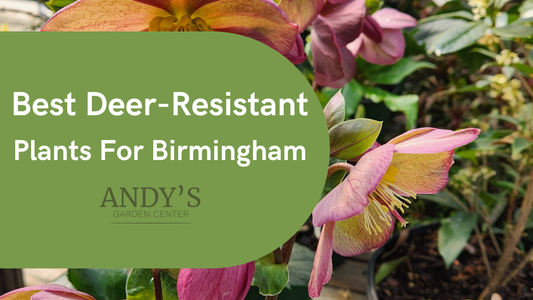Best Deer-Resistant Plants for Birmingham, Alabama