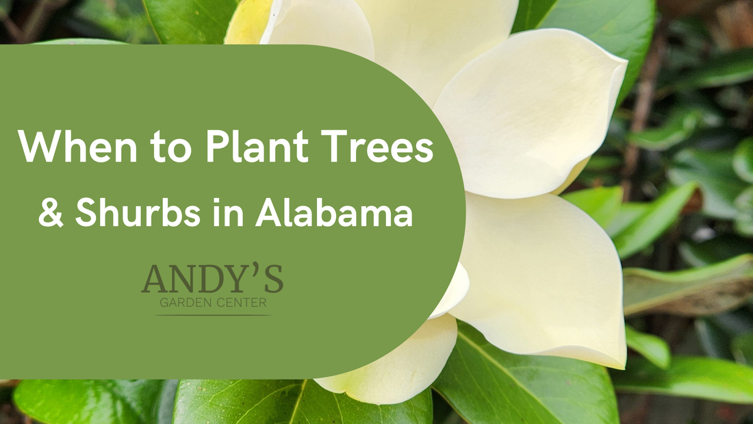 When to Plant Trees and Shrubs in Alabama