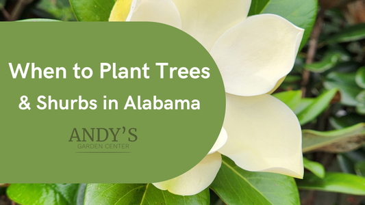 When to Plant Trees and Shrubs in Alabama
