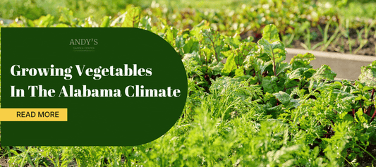 Growing Vegetables in the Alabama Climate