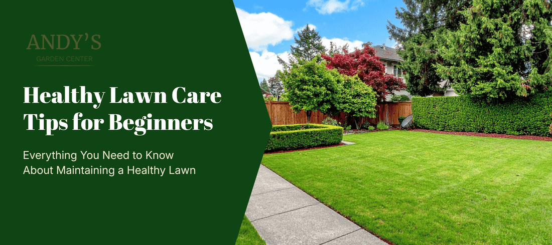 Healthy lawn care