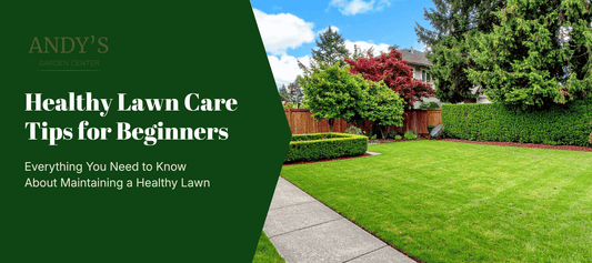 Healthy lawn care