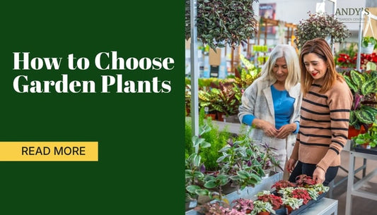 How to choose garden plants