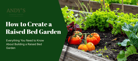How to create a raised bed garden 