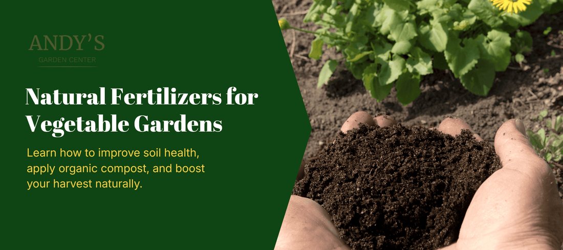 Natural Fertilizers for vegetable garden