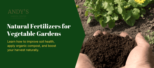 Natural Fertilizers for vegetable garden