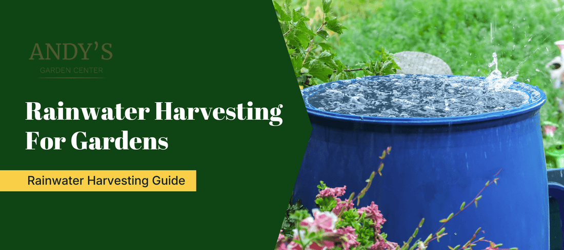 Rainwater Harvesting For Gardens