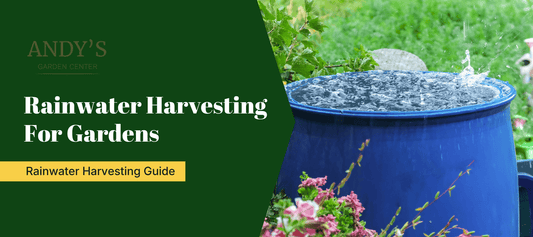 Rainwater Harvesting For Gardens