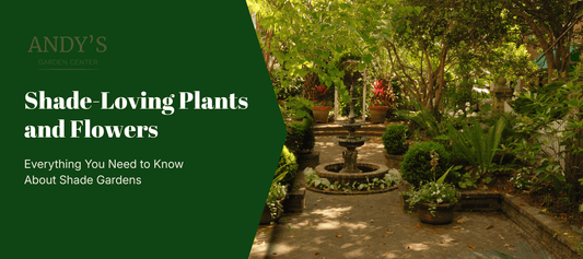 Shade-Loving Plants and Flowers