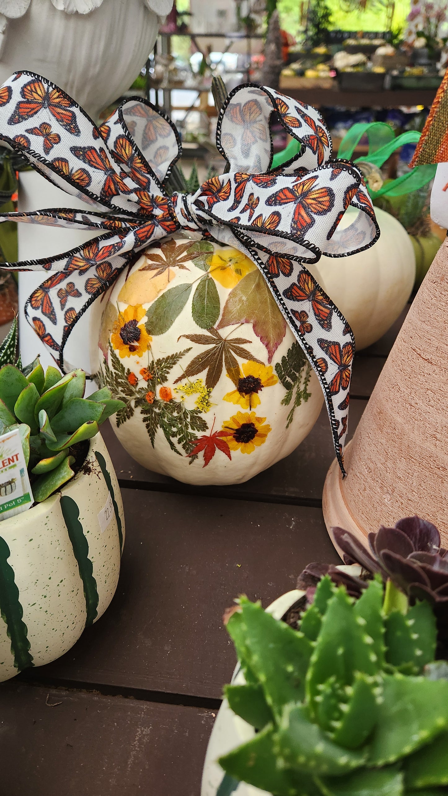 🌸🎃Pressed Petals & Pumpkins Workshop 🎃🌸