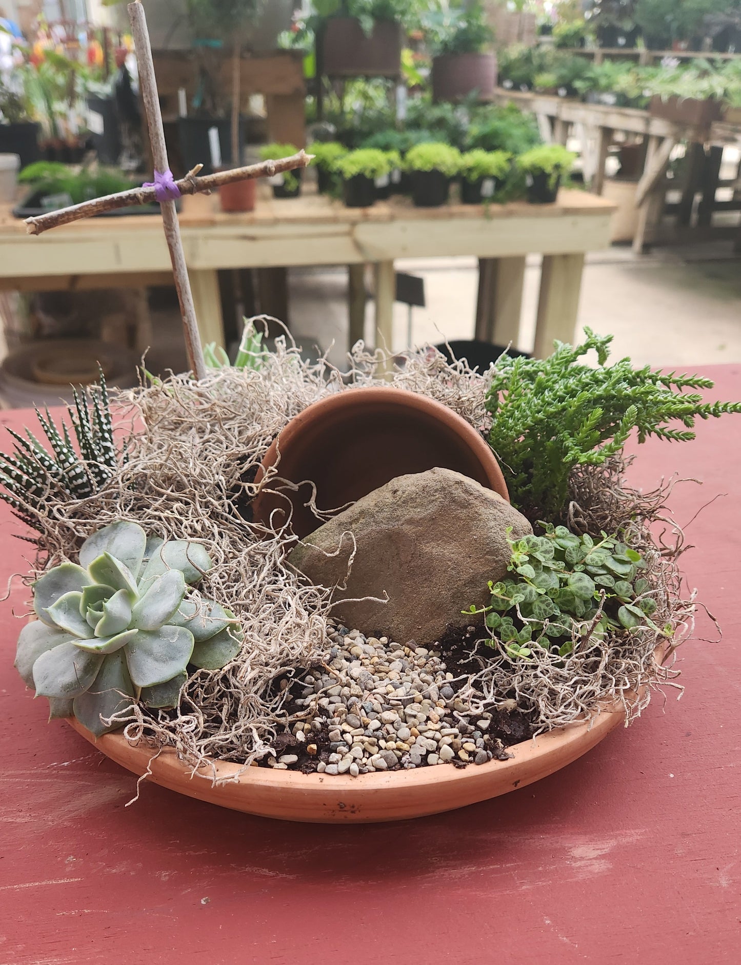 Terracotta pot with succulents attached to a red wall