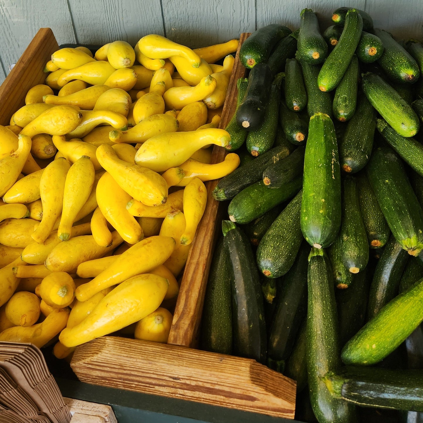 Display of green and yellow zucchinis on a wooden shelf with price signs.