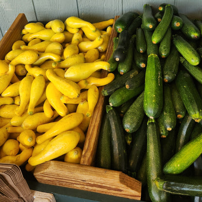 Display of green and yellow zucchinis on a wooden shelf with price signs.