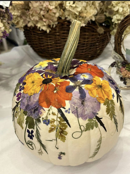 🌸🎃Pressed Petals & Pumpkins Workshop 🎃🌸