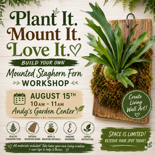 Build Your Own Mounted Staghorn Fern Workshop