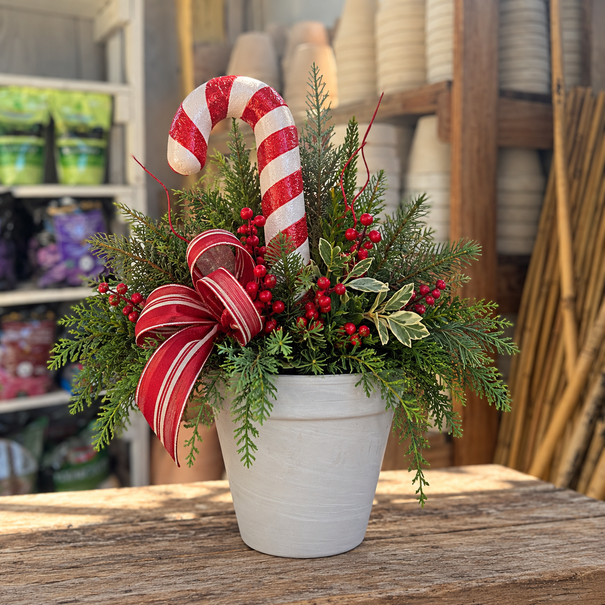 Candy Cane Christmas Pot Workshop