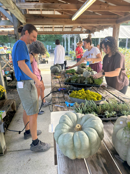Succulent Pumpkin Creations Workshop🎃