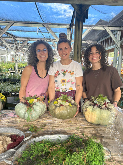 Succulent Pumpkin Creations Workshop🎃