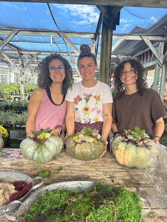 Succulent Pumpkin Creations Workshop🎃