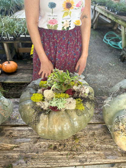 Succulent Pumpkin Creations Workshop🎃