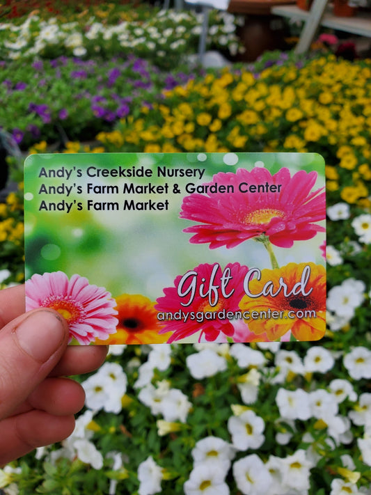Landscape Consultation Gift Certificate